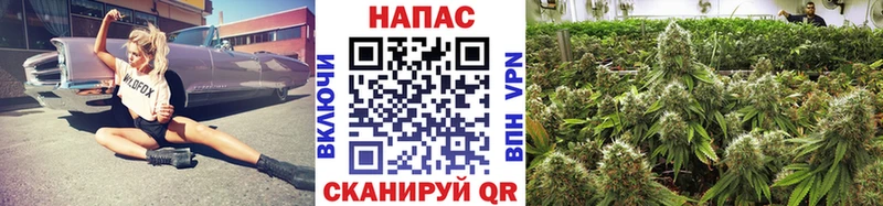 Бошки марихуана план  Рубцовск 